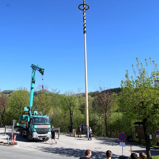 Ein Kran hebt einen hohen, geschmückten Holzmast. Zuschauer beobachten. Grüne Bäume und Berge im Hintergrund.