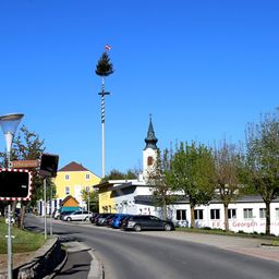 Eine Straßenszene mit einem hohen Baum in der Mitte, einem gelben Gebäude, geparkten Autos und einer Kirche. Der Himmel ist blau.