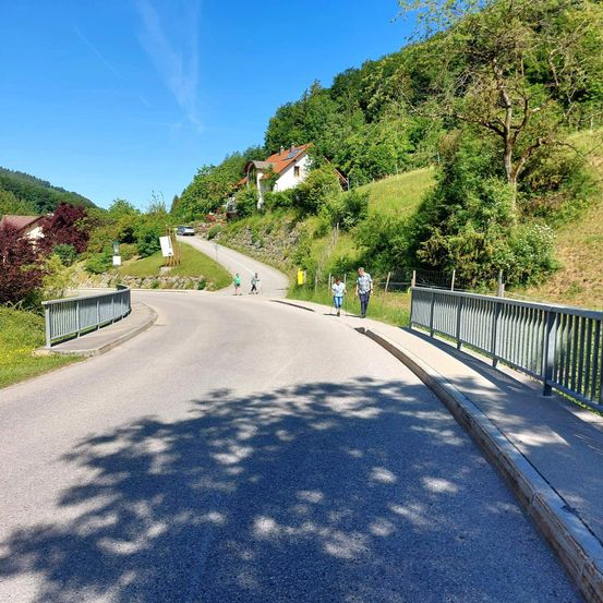 Eine Straße mit einem Metallgeländer und einigen Menschen, die auf dem Bürgersteig gehen. Die Straße ist von Bäumen und Pflanzen umgeben, und ein Haus befindet sich am Hang.