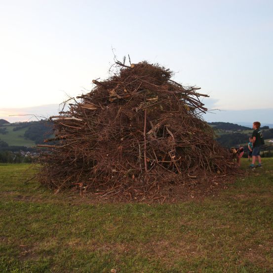 Ein Haufen trockener Zweige und Äste liegt auf einer Wiese. Ein Junge in Shorts und Sneakers steht daneben. Im Hintergrund befindet sich eine Bergkette.