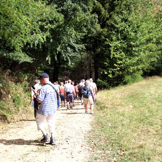Eine Gruppe von Wanderern geht auf einem staubigen Pfad, umgeben von Bäumen und Gras, an einem sonnigen Tag.