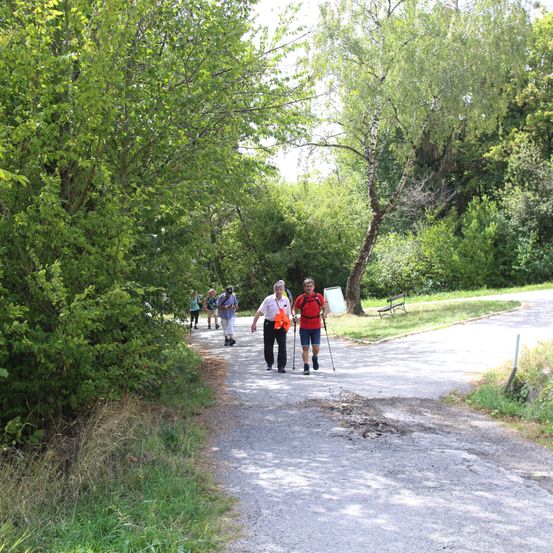 Eine Gruppe von Menschen geht auf einem Kiesweg, umgeben von Bäumen und Gras. Eine Person trägt ein rotes Shirt und hält einen Stock.