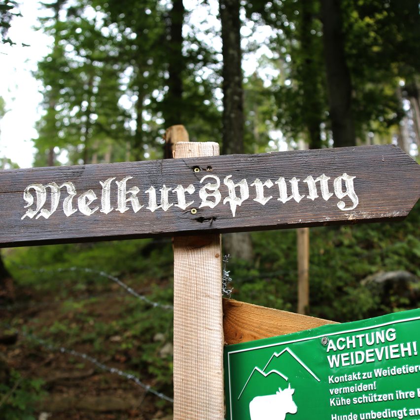 Ein Holzschild mit der Aufschrift 'Melkkursprung' ist an einem Holzpfosten befestigt. Der Hintergrund ist ein Wald mit Bäumen und einem Stacheldrahtzaun.