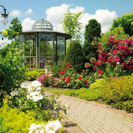 Bild enthält, Garden, Nature, Outdoors, Grass, Park, Arbour, Vegetation, Flower, Geranium, Scenery