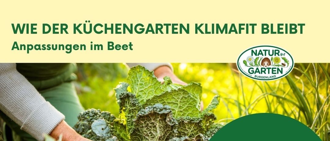 A poster with a gardener holding green leaves announces a talk on making gardens resilient to heat, drought, and pests. Tanja Westfall-Greiter will present. The talk is on February 26, 2026, at 18:00. Location: Obere Hauptstraße 40, 7537 Neuberg i. Bgl.