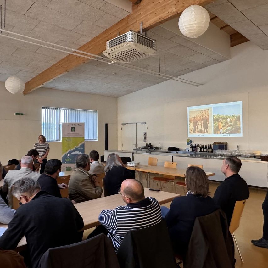 Indoor meeting with a projector screen showing two images, one of a vineyard and another of people working. Participants are seated, listening to a woman speaking.