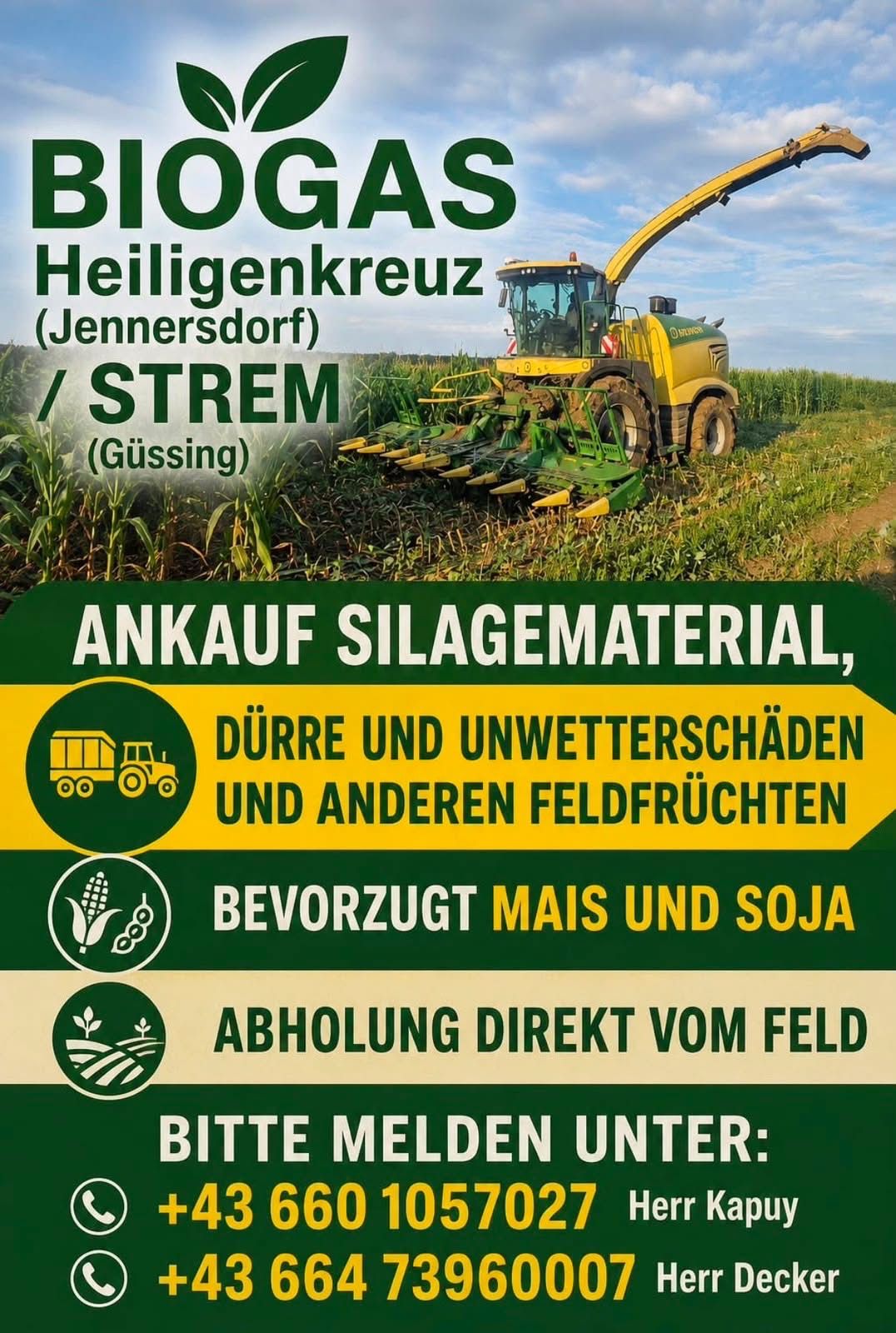 Eine Werbung für den Kauf von Silagematerial, mit einem gelben Erntemaschine in einem Maisfeld. Der Text betont den Kauf von getrockneten und wettergeschädigten Feldfrüchten, mit einer Vorliebe für Mais und Sojabohnen. Die direkte Abholung vom Feld wird hervorgehoben.