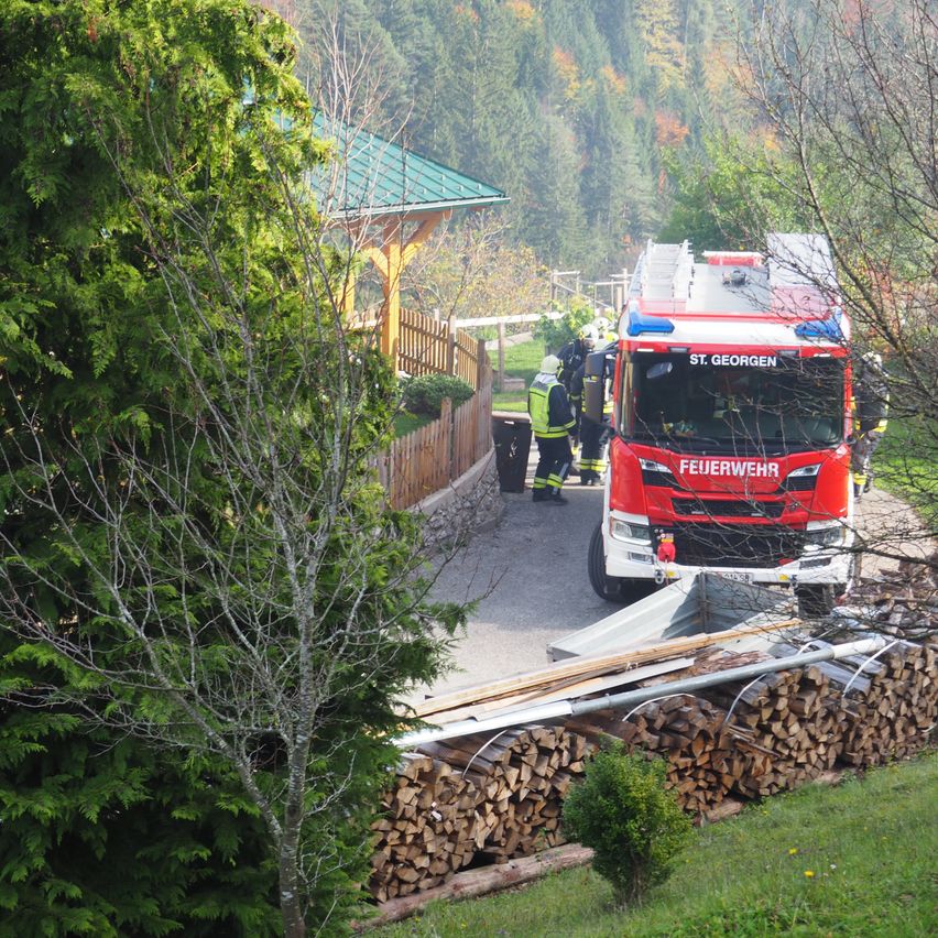 Bild enthält, Car, Transportation, Vehicle, Person, Plant, Truck, Fire Truck, Machine, Wheel, Fire Station