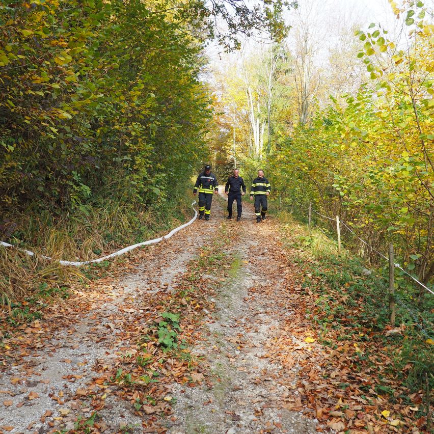 Bild enthält, Path, Nature, Outdoors, Trail, Person, Vegetation, Road, Tree, Woodland, Gravel