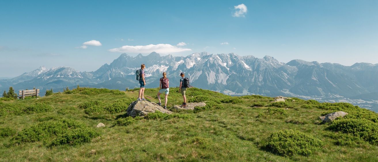 Drei Wanderer stehen auf einem grasbewachsenen Berggipfel, mit schneebedeckten Bergen im Hintergrund unter einem blauen Himmel.