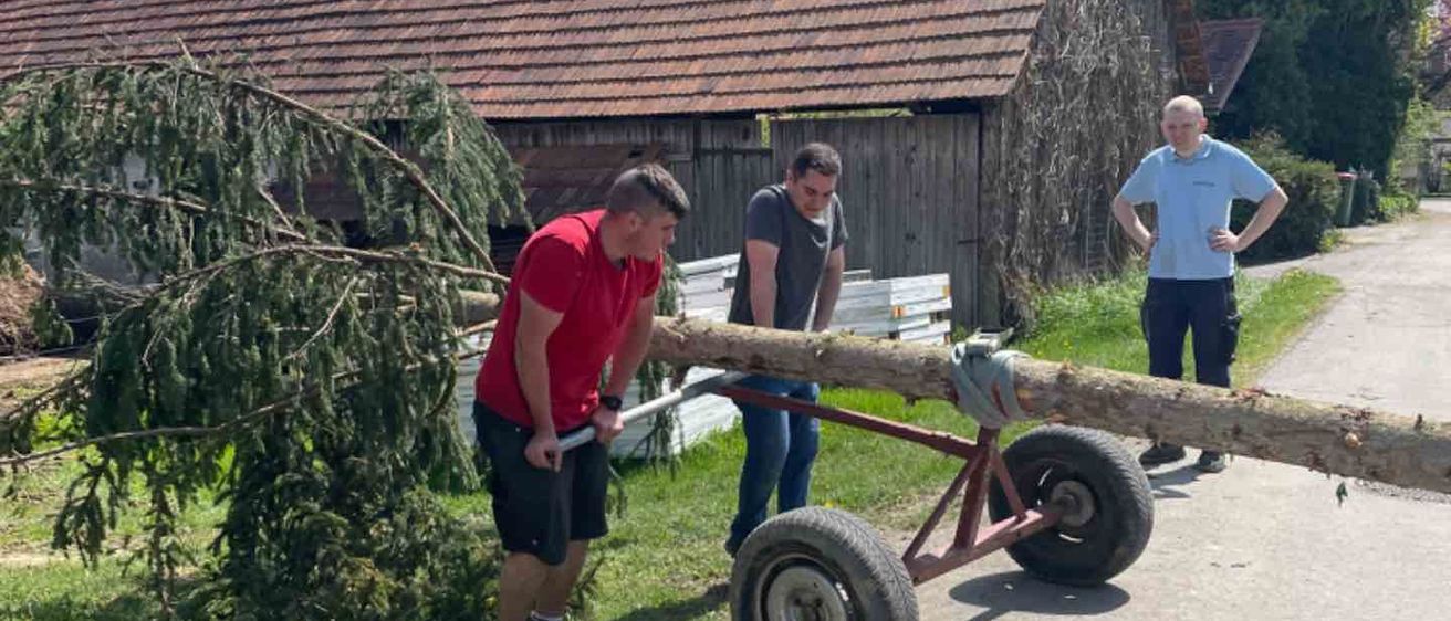 v1_migrated_image_43319913