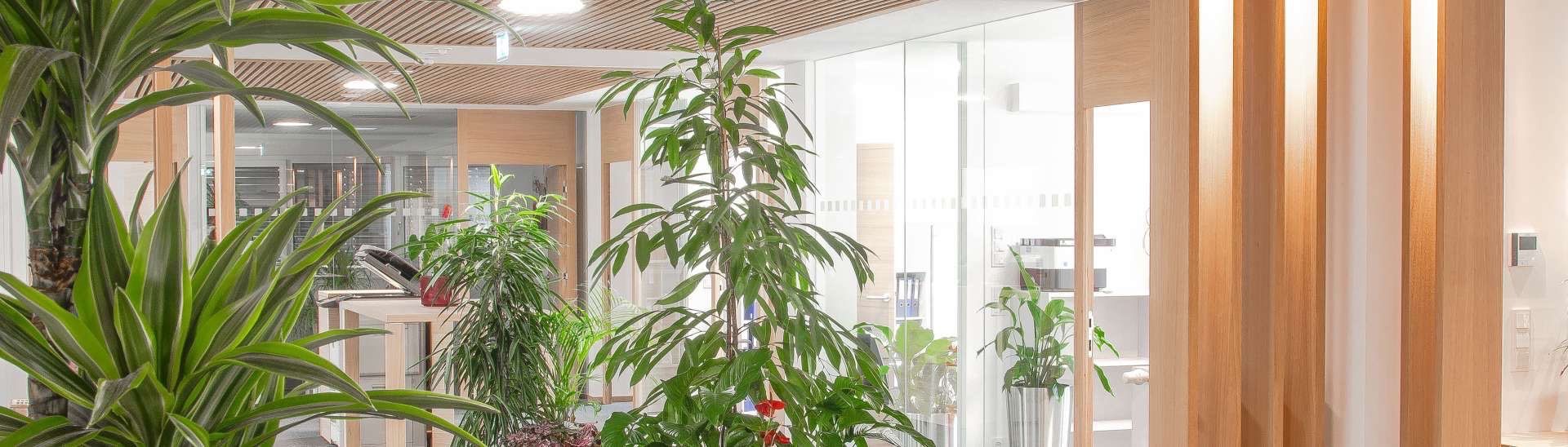 Innenansicht eines Bürogebäudes mit großen grünen Pflanzen, eine im Vordergrund mit roten Blüten, und Glaswänden.
