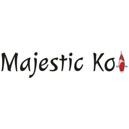 Das Wort Majestic Koi ist in fetten schwarzen Buchstaben mit einem Koi-Fischbild auf der rechten Seite geschrieben.