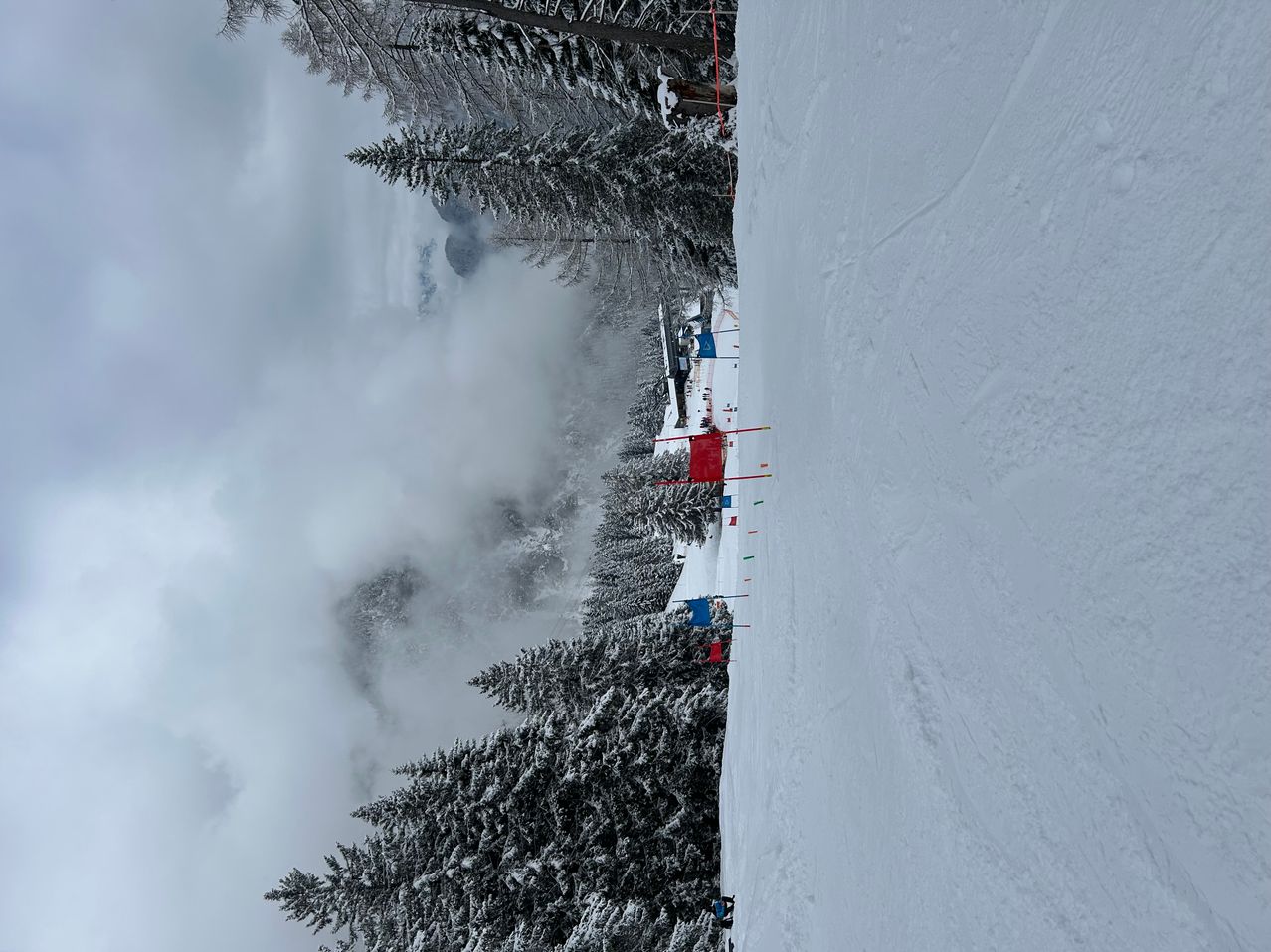 Eine mit Schnee bedeckte Skipiste mit Kiefern und einem nebligen Hintergrund. Rote Flaggen markieren den Weg.