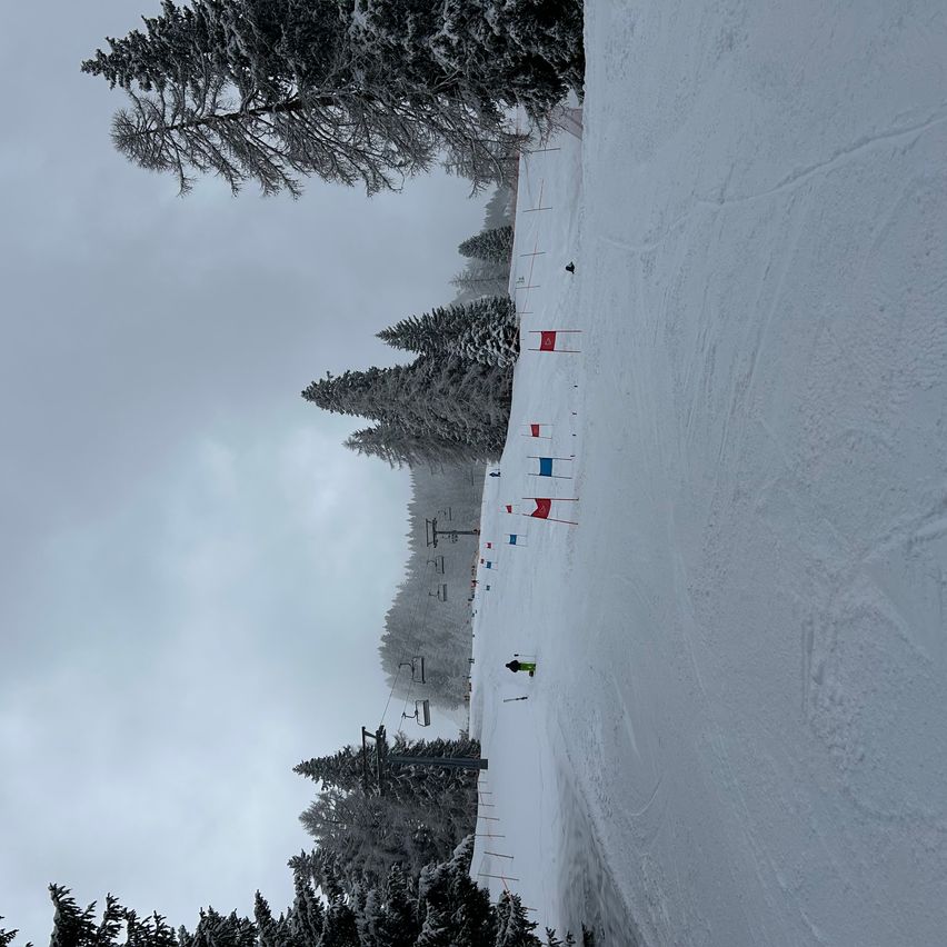 Ein verschneiter Berghang mit Kiefern und Fahnen. Ein Skifahrer bewegt sich durch den Schnee, Skilifte sind im Hintergrund zu sehen.