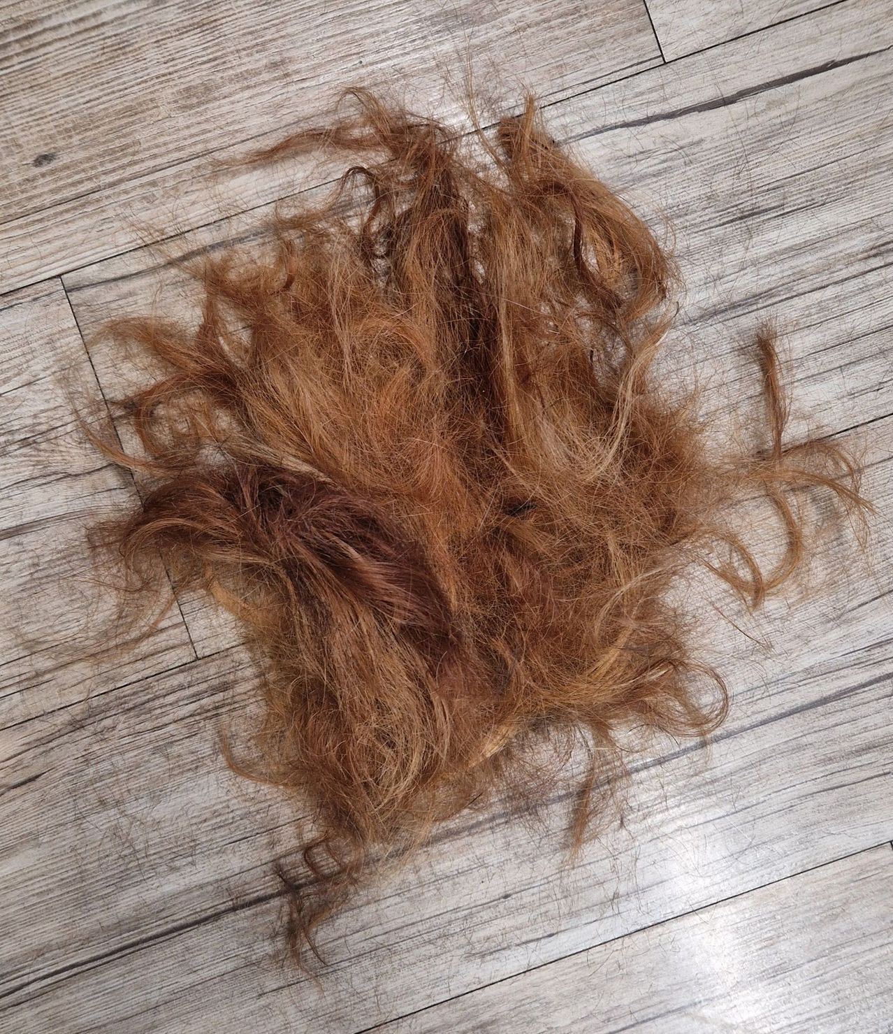 Ein Haufen lockiger, brauner Haare liegt verstreut auf einem Holzboden, wobei die Strähnen nach außen ragen.