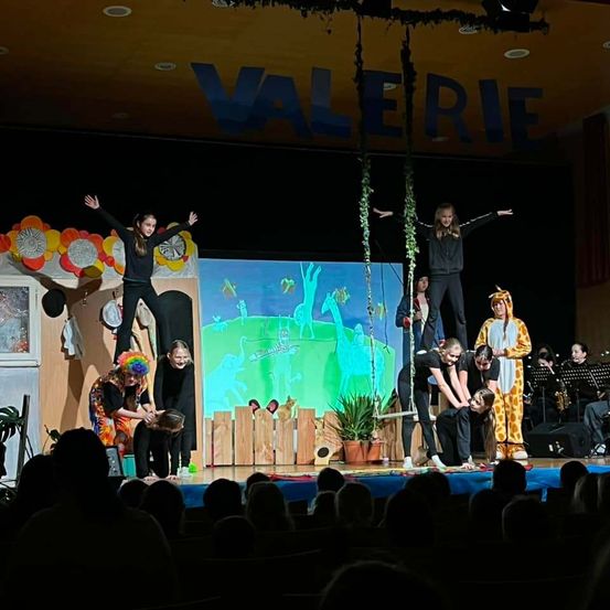 Bild enthält, Adult, Female, Person, Woman, Concert, Crowd, Group Performance, Musician, Performer, Singing