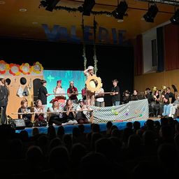 Bild enthält, Concert, Crowd, Person, Urban, Performer, Solo Performance, Leisure Activities, Music, Musical Instrument, Musician