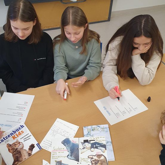 Bild enthält, Text, Person, Female, Girl, Teen, Adult, Woman, Face, Student, Cat