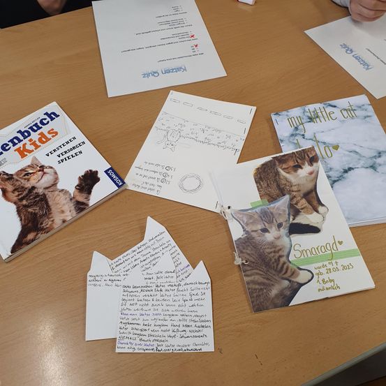 Bild enthält, Advertisement, Poster, Text, Animal, Cat, Mammal, Pet, Document, Receipt, Person