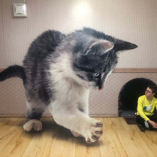 Bild enthält, Wood, Interior Design, Floor, Hardwood, Flooring, Shelter, Living Room, Person, Photography, Portrait
