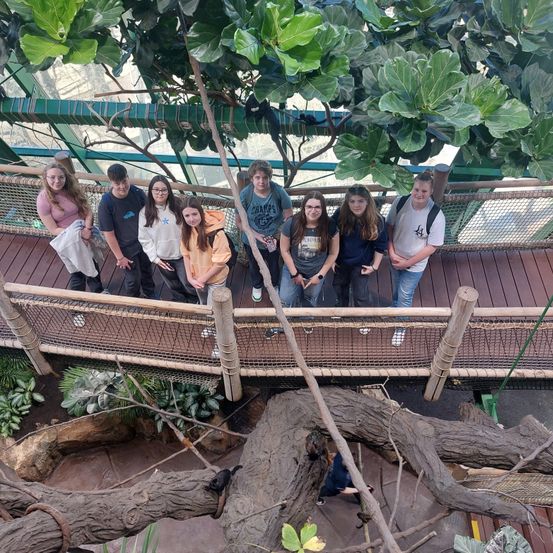 Bild enthält, Housing, Porch, Wood, Garden, Nature, Outdoors, Person, Patio, Pergola, Arbour