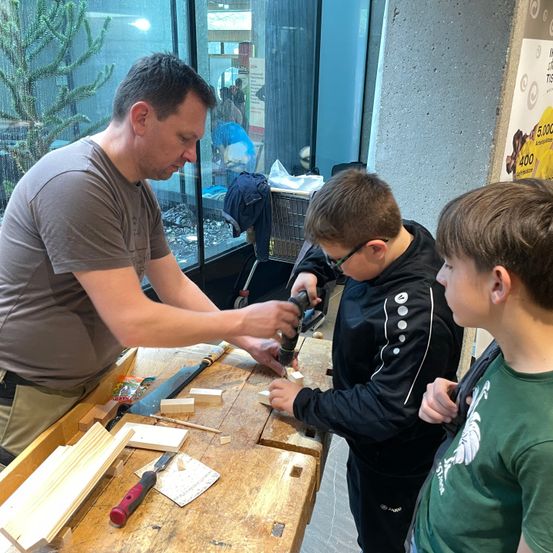 Bild enthält, Boy, Child, Male, Person, Adult, Man, Wood, Face, Head