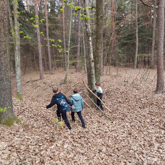 Drei Kinder erkunden einen Wald, wobei eines einen Stock hält, ein anderes sich über einen Stock beugt und das dritte steht und einen Stock hält.