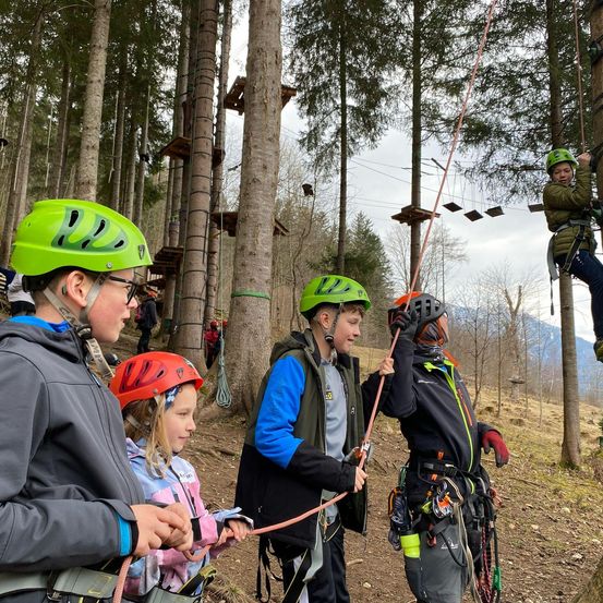 Eine Gruppe von Kindern klettert auf einen Baum. Einige tragen Helme und halten Seile, während andere den Baum erklimmen.
