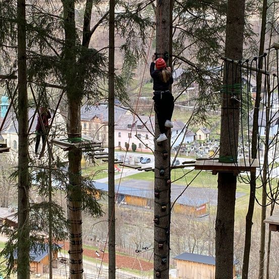 Zwei Frauen klettern auf einem Seilparcours im Wald. Eine Frau klettert auf einer Plattform, während die andere auf einem Baum ist.