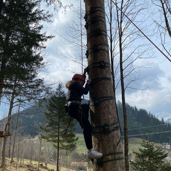 Eine Person in einem Helm klettert in einem Wald in einen Baum und hält sich an einem Seil fest.