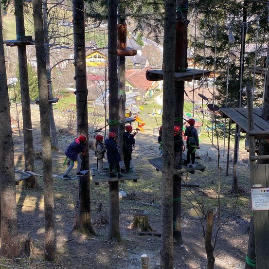 Eine Gruppe von Kindern, die rote Helme tragen, klettert in den Wäldern auf einer Seilbahn.