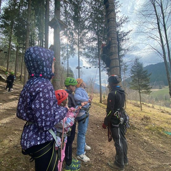 Eine Gruppe von Menschen steht in einem Wald, trägt Helme und hält Seile. Eine Person klettert auf einen Baum, während andere zuschauen.