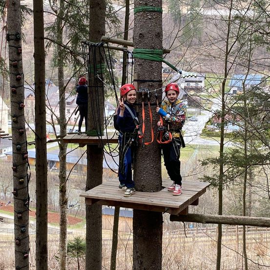 Zwei Kinder in Helmen klettern auf einem Baum in einem Wald mit Holzplattformen, während ein weiteres Kind im Hintergrund steht.