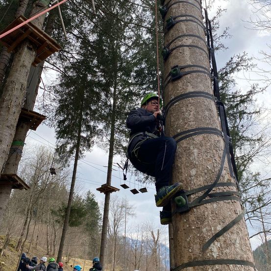 Eine Person in einem grünen Helm klettert an einem Baum hoch. Der Baum ist mit Riemen umwickelt. Die Person trägt einen Gurt und eine Brille.