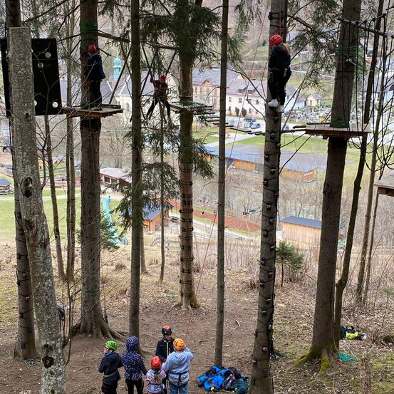 Menschen klettern in einem Wald an einer Seilbahn. Einige klettern, andere warten am Boden.