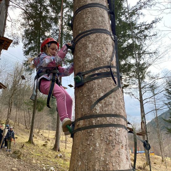Ein junges Mädchen mit Helm und Gurtzeug klettert in einem Wald an einem hohen Baum.
