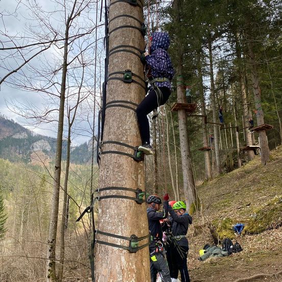 Eine Person klettert in einem Wald an einem Baum mit anderen Personen um sie herum. Es gibt Seile und eine Holzplattform. Der Berg ist in der Ferne.