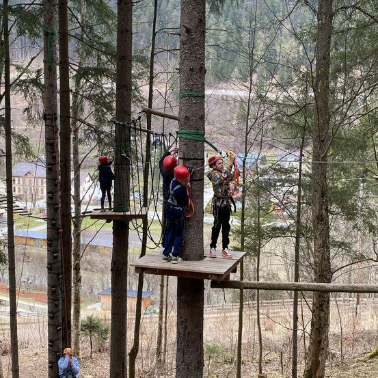 Drei Kinder in Helmen klettern in einem Wald an einem Baum hoch, an dem ein Seil befestigt ist.