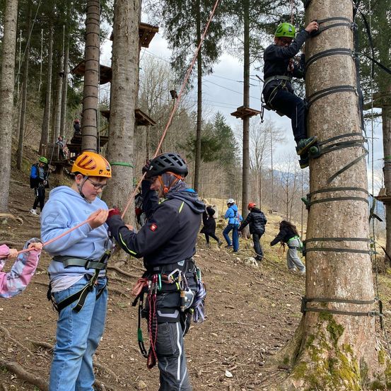 Zwei Personen klettern an einem Baum mit Seilen, während andere Personen im Hintergrund eine Holzstruktur erklimmen.