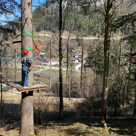 Ein Kind steht auf einer hölzernen Plattform, die an einen Baum in einem Wald gebunden ist, trägt einen Helm und Gurt und ergreift die Seile einer Zipline.