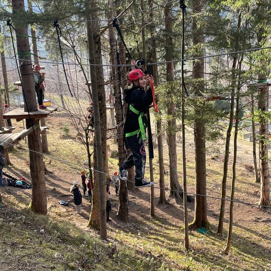 Eine Person mit Helm klettert auf einem Seilparcours im Wald.