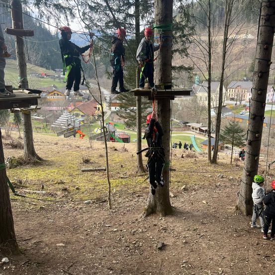 Eine Gruppe von Menschen klettert in einem Wald auf Bäume, trägt Sicherheitsgurte und Helme. Sie stehen auf Plattformen, die an die Bäume befestigt sind.