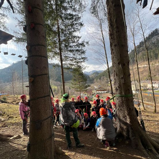Gruppe von Kindern und Erwachsenen in Helmen in einem Wald, die sich auf eine Kletterherausforderung vorbereiten.