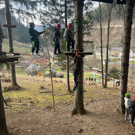 Fünf Personen klettern auf einer Seilbrücke im Wald, wobei Sicherheitsseile an ihnen befestigt sind. Die Brücke ist erhöht und das Gebiet ist von Bäumen umgeben. In der Ferne sind einige Gebäude zu sehen, und der Himmel ist klar.