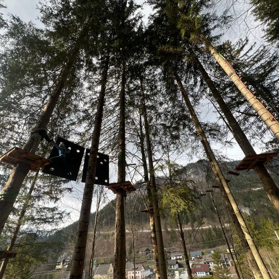 Ein Blick auf einen Wald mit mehreren Bäumen und einem Hochseilgarten in großer Höhe. Der Parcours hat Holzplattformen und Seile, mit einer Person, die auf der linken Seite klettert.