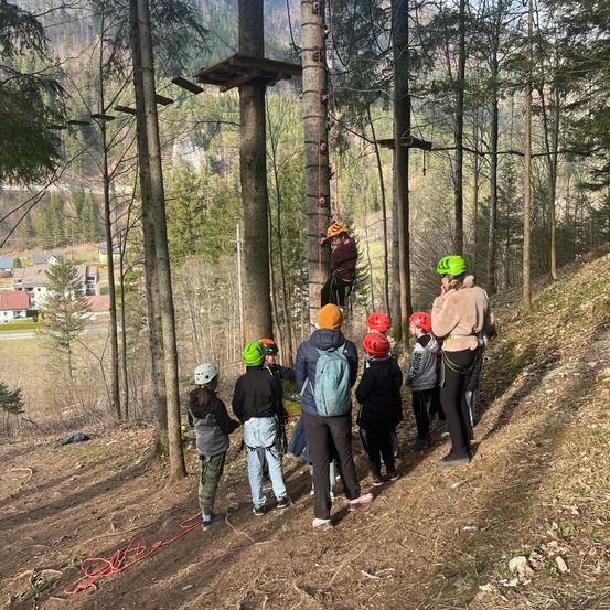 Gruppe von Menschen mit Helmen in einem Waldgebiet. Einige klettern an den Seilen hoch. Das Gebiet ist von Bäumen umgeben.