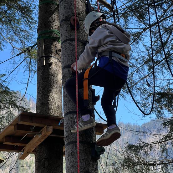 Eine Person klettert an einem Baum hoch, befestigt mit Seilen und trägt einen Helm, Gurtzeug und Turnschuhe.