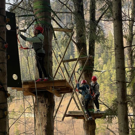 Drei Personen klettern mithilfe eines Kletterkurses einen Baum hinauf. Der Kurs besteht aus Holz und Metall und ist in einem Wald aufgebaut.