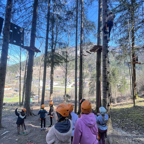 Eine Gruppe von Menschen klettert in einem Wald auf einem Seilparcours. Sie tragen orangefarbene Helme und Jacken.